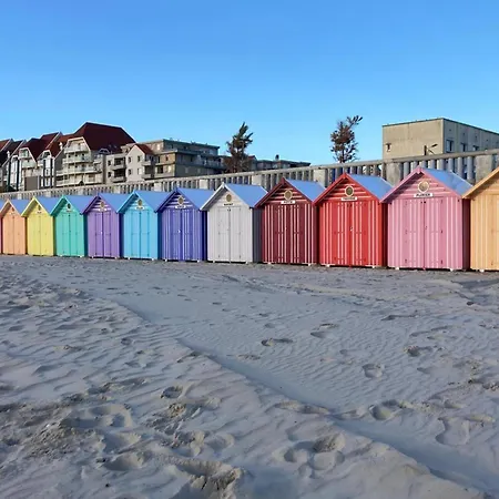 Pet Friendly In Lejlighed