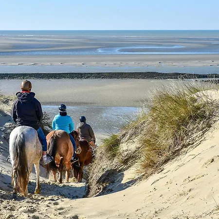 Pet Friendly In * Berck