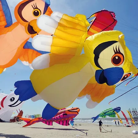 Pet Friendly In شقة Berck